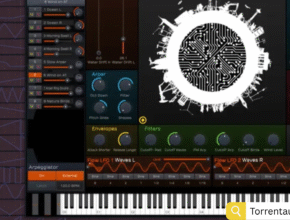 The Drum Bank – FEFE