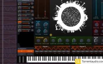 The Drum Bank – FEFE