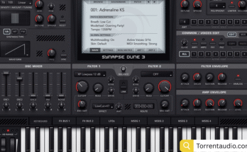 Synapse Audio