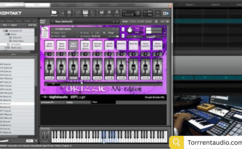 Big Fish Audio – Purple Drizzle