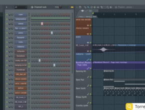 FL Studio Producer