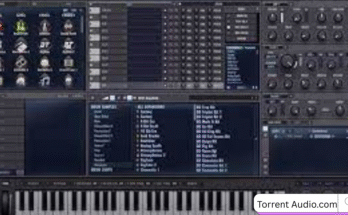 Vengeance Sound