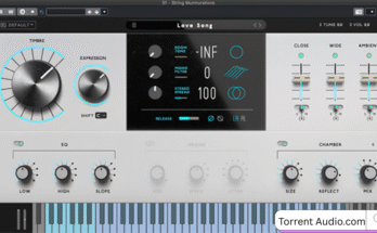String Audio