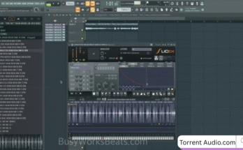 Producer Loops