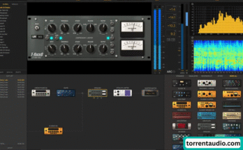 IK Multimedia T-RackS