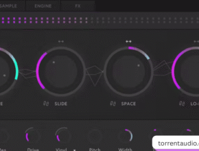 Diginoiz Sample Pack