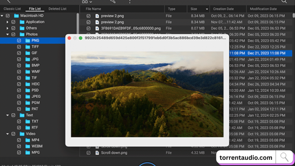 Hasleo Data Recovery Technician