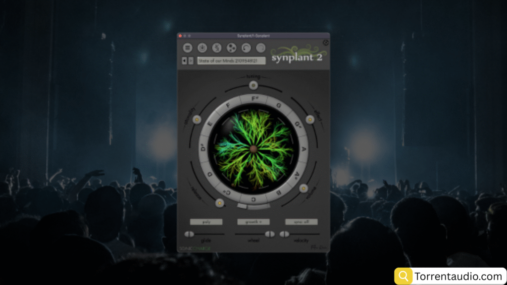 Ultrasonic