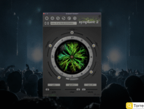 Ultrasonic