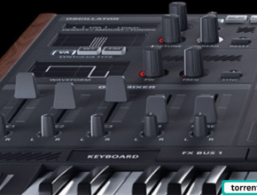 Synapse Audio DUNE